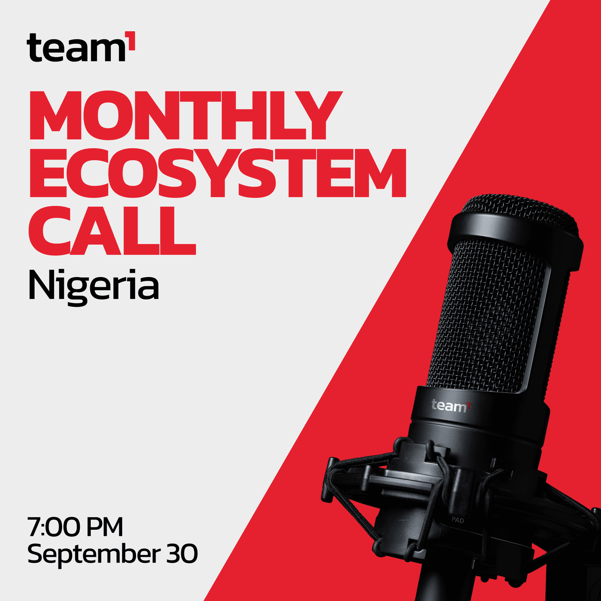 Team1 Monthly Ecosystem Call